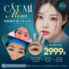 Dịch vụ cắt mí mini